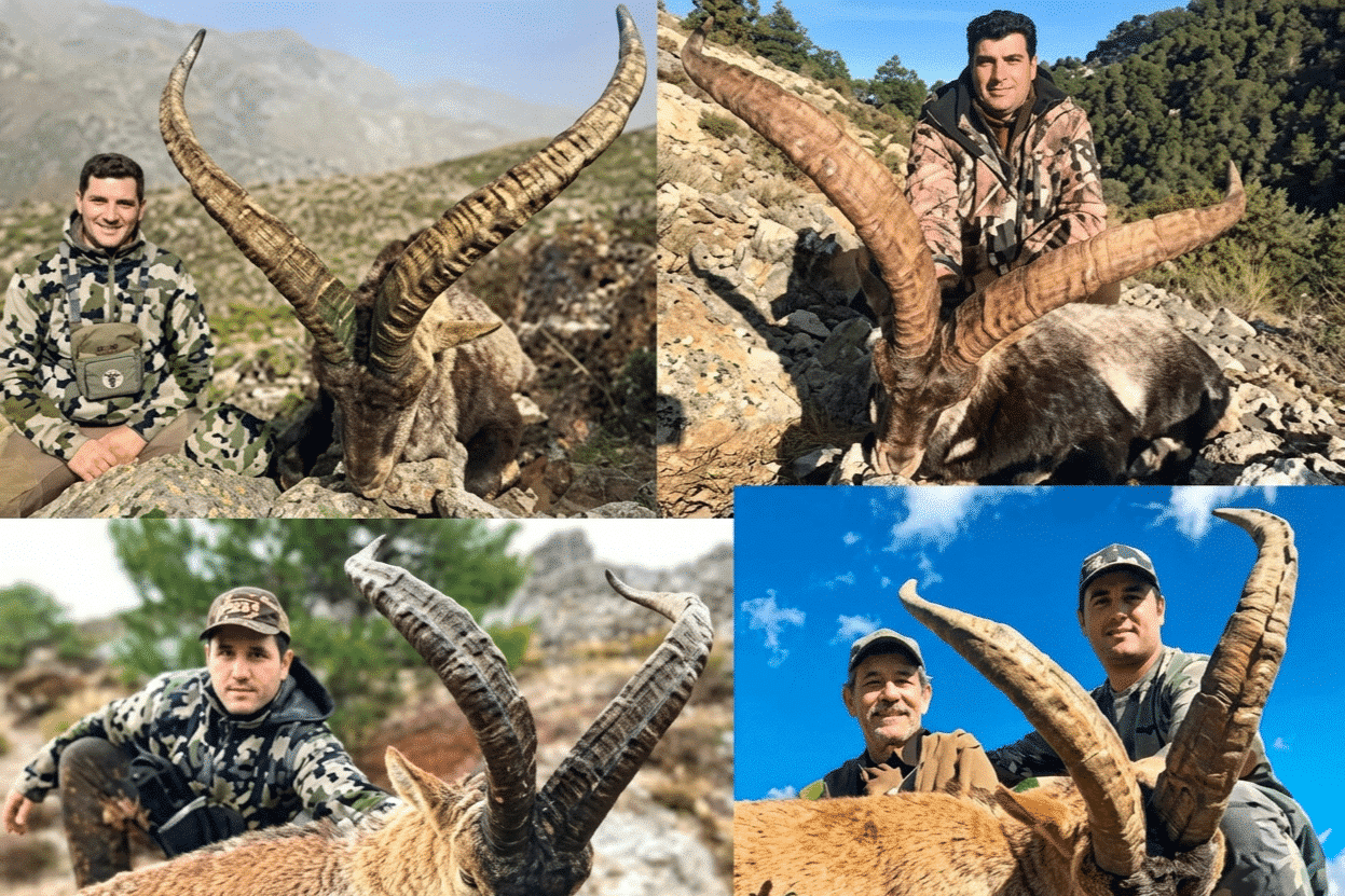 GRAND SLAM SPANISH IBEX, all inclusive!!